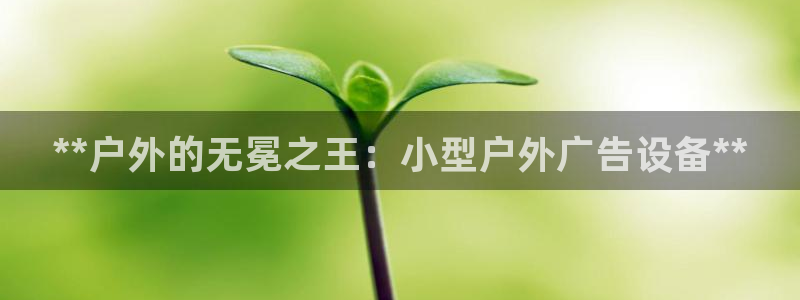 杏宇平台代理多少钱