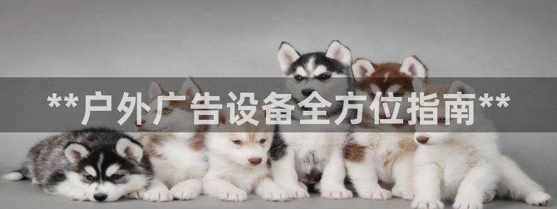 杏宇代理注册