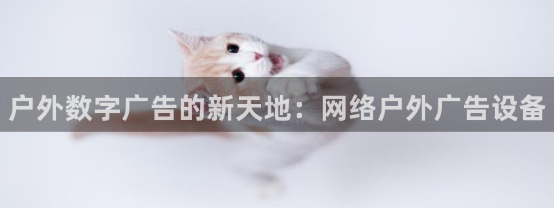 杏宇平台代理