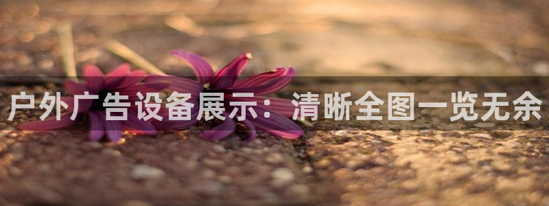 杏宇平台代理怎么样可靠吗