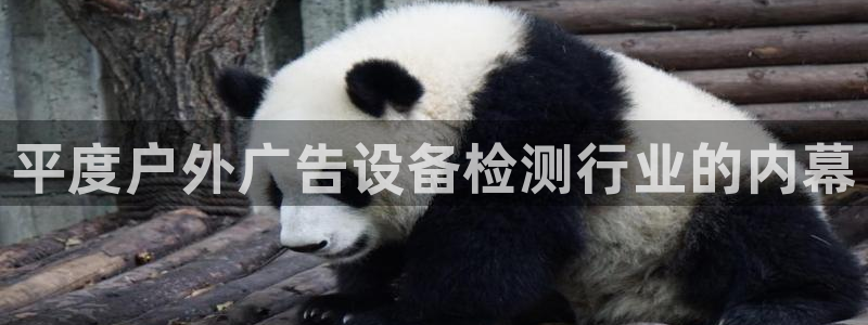 杏宇官方平台官网