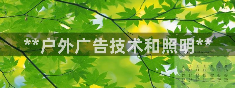 杏宇平台登录步骤图：**户外广告技术和照明**