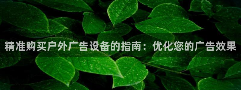 杏宇平台注册登录：精准购买户外广告设备的指南：优化您的广告效果