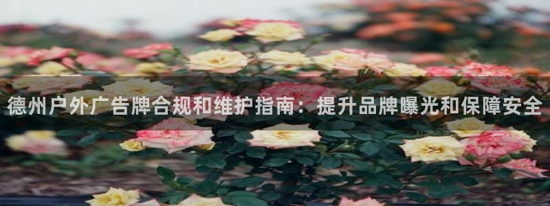 杏宇平台代理怎么赚钱快：德州户外广告牌合规和维护指南：提升品牌曝光和保障安全
