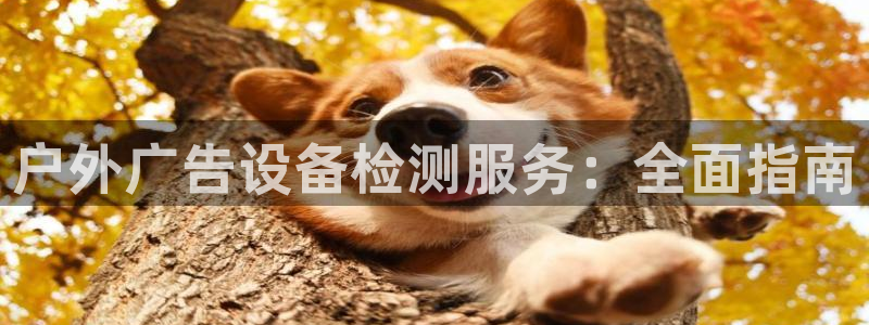 杏宇平台代理怎么样可靠吗：户外广告设备检测服务：全面指南
