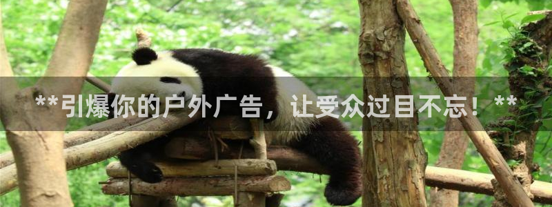 杏宇平台怎么样知乎