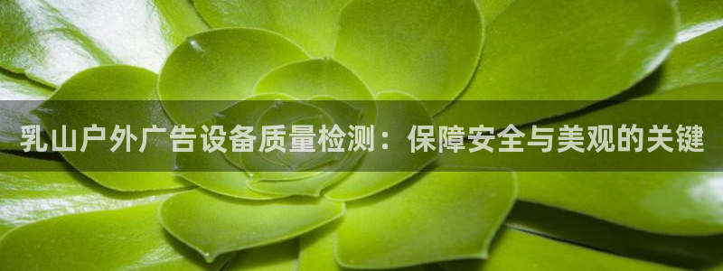 杏宇平台招商怎么样