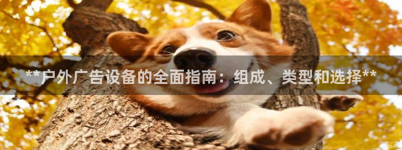 杏宇平台登录步骤