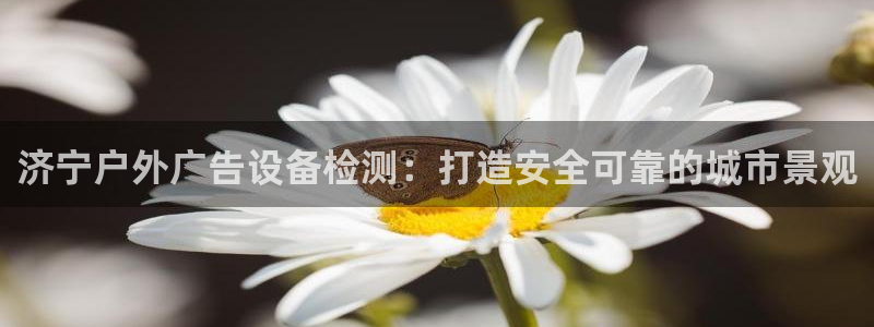 杏宇平台招商怎么样