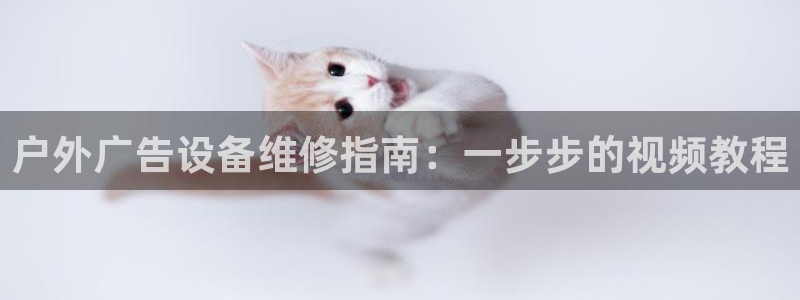 杏宇平台总代理是谁