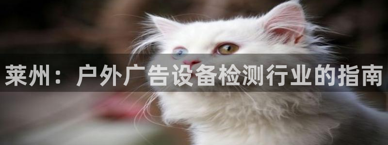 杏宇平台代理多少钱