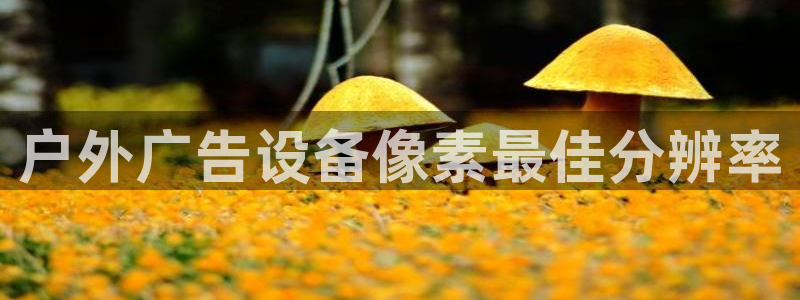 杏宇平台登录方法