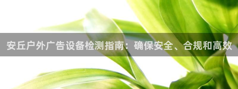 杏宇平台主管