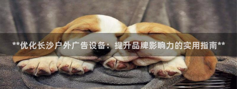 杏宇平台总代理是谁
