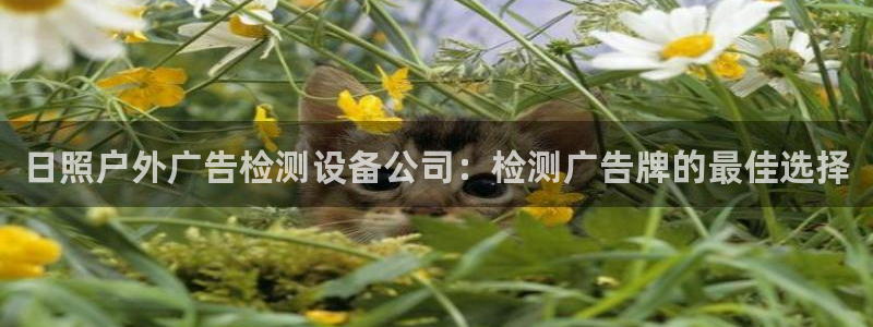 杏宇平台登录方法