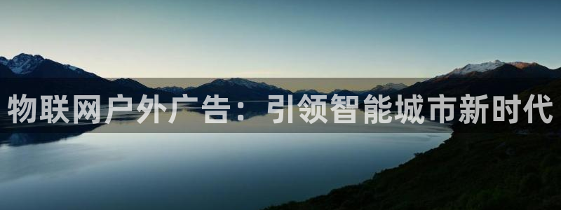 杏宇平台主管