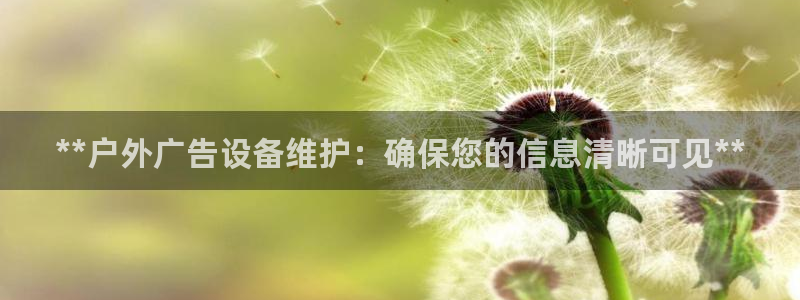杏宇平台招商电话号码