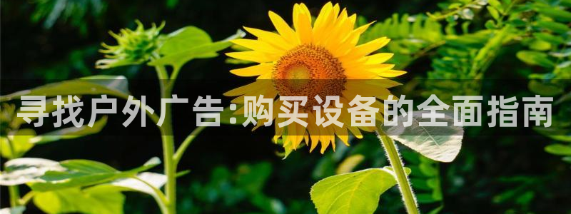 杏宇平台怎么样赚钱