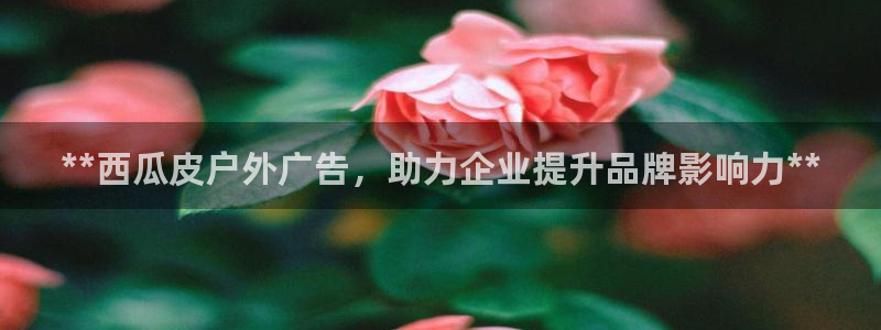 杏宇平台登录步骤