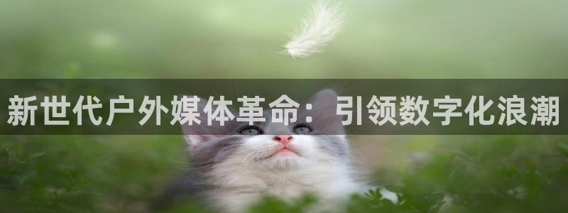 杏宇平台代理多少钱