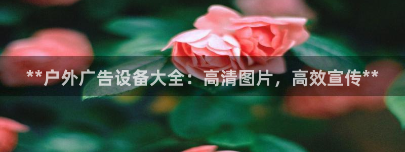杏宇官方平台官网下载