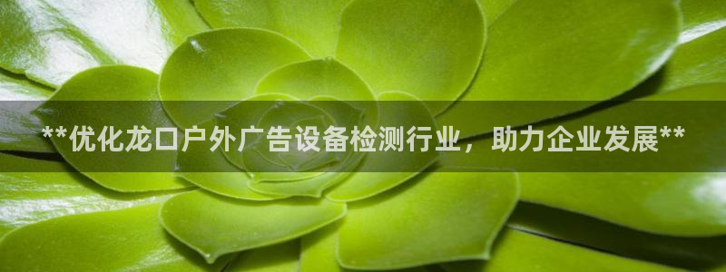 杏宇平台代理怎么赚钱快