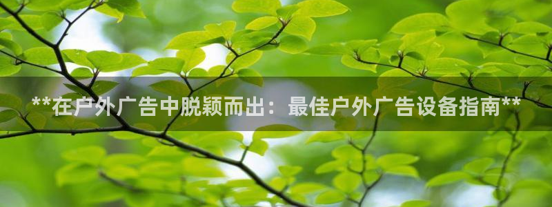 杏宇代理注册