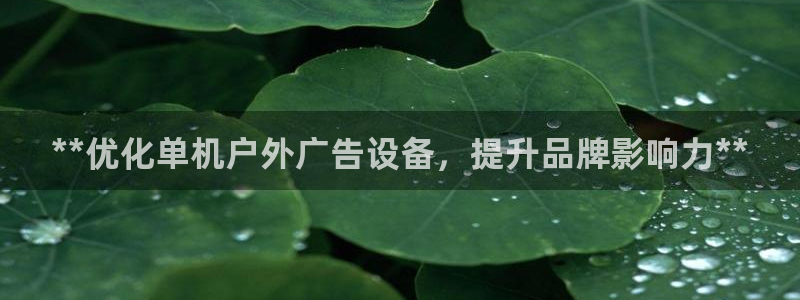 杏宇平台代理怎么赚钱的
