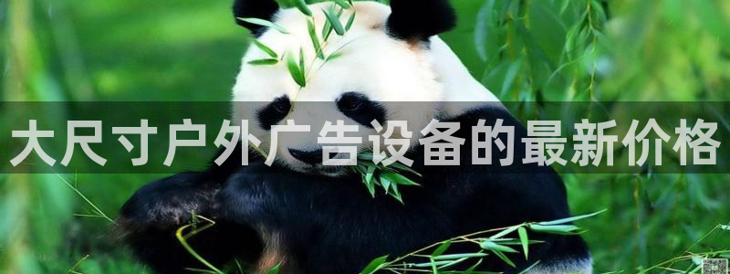 杏宇平台代理多少钱一个月