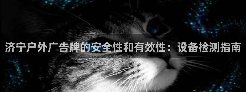 杏宇平台注册地址在哪里