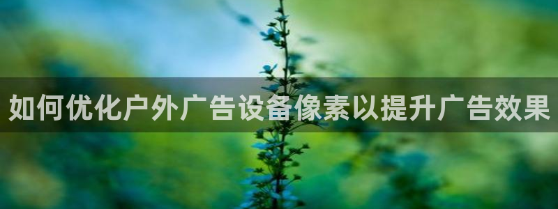 杏宇代理注册
