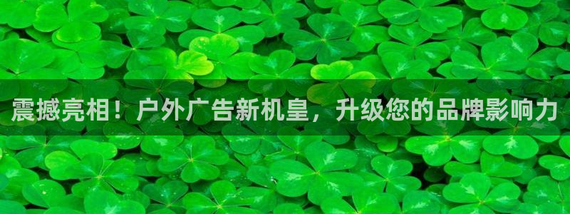 杏宇平台登录步骤是什么