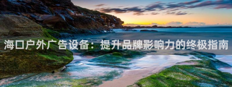 杏宇平台提现为什么这么久呢：海口户外广告设备：提升品牌影响力的终极指南