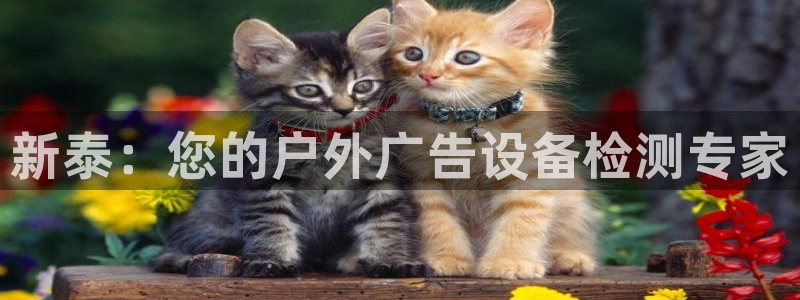 杏宇平台是什么