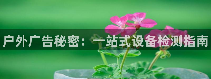 杏宇平台代理怎么样可靠吗