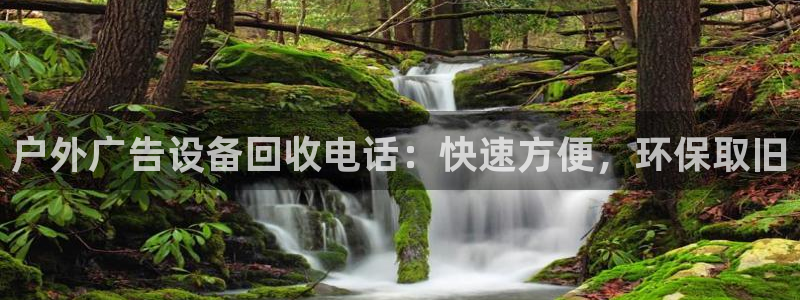 杏宇平台代理