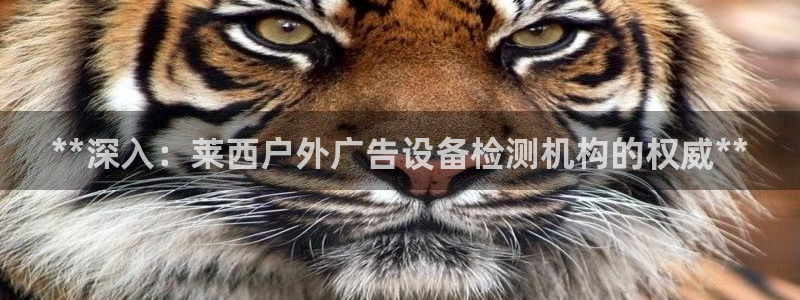杏宇平台怎么样知乎