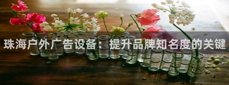 杏宇平台代理多少钱一个月：珠海户外广告设备：提升品牌知名度的关键