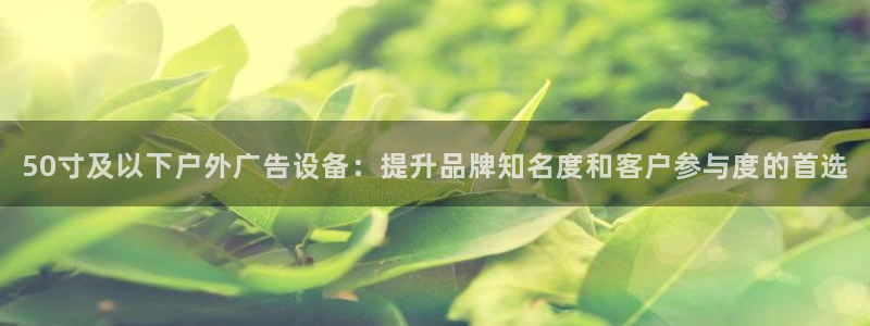 杏宇平台代理多少钱一个月：50寸及以下户外广告设备：提升品牌知名度和客户参与度的首选