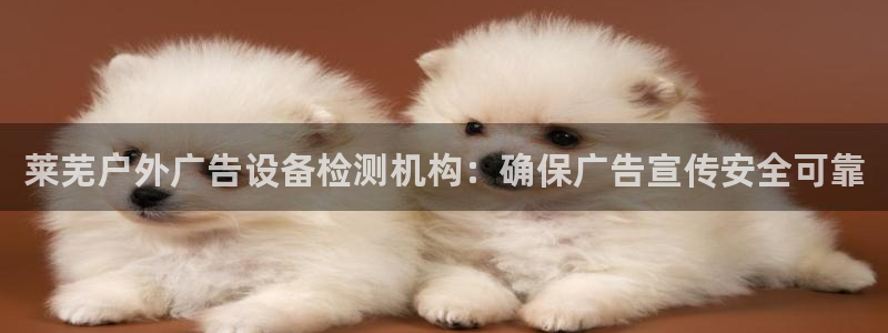 杏宇平台测速链接：莱芜户外广告设备检测机构：确保广告宣传安全可靠