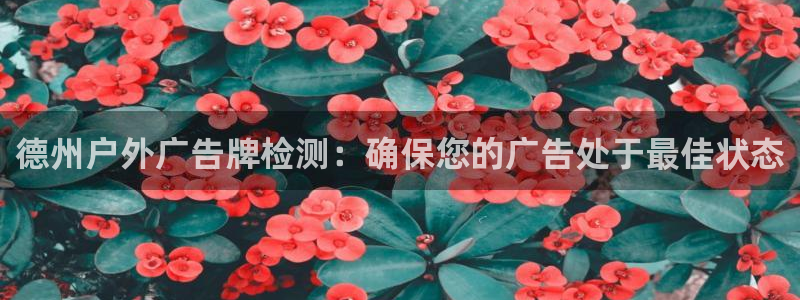 杏宇平台好吗