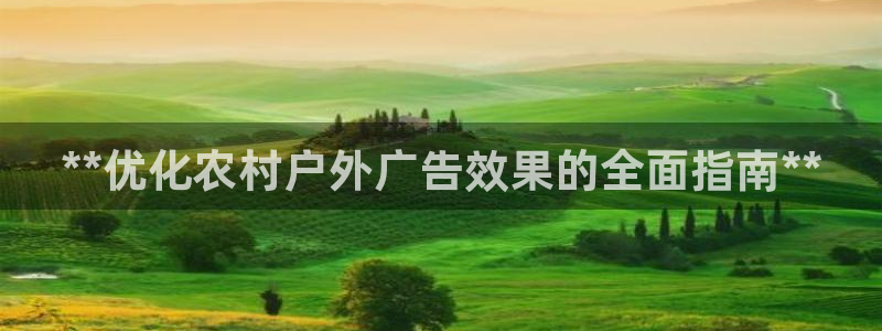 杏宇平台代理多少钱一个：**优化农村户外广告效果的全面指南**