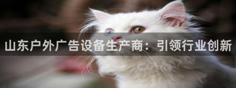 杏宇平台提现为什么这么久呢：山东户外广告设备生产商：引领行业创新