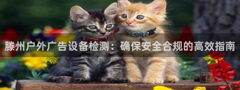 杏宇平台代理多少钱一次：滕州户外广告设备检测：确保安全合规的高效指南
