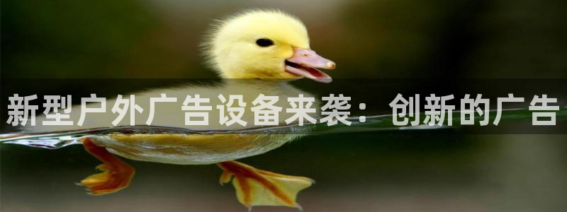 杏宇平台怎么样赚钱