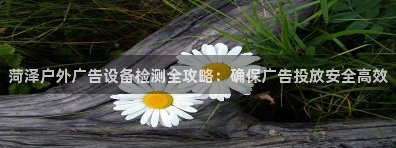 杏宇平台怎么样赚钱