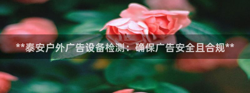 杏宇平台登录步骤图：**泰安户外广告设备检测：确保广告安全且合规**
