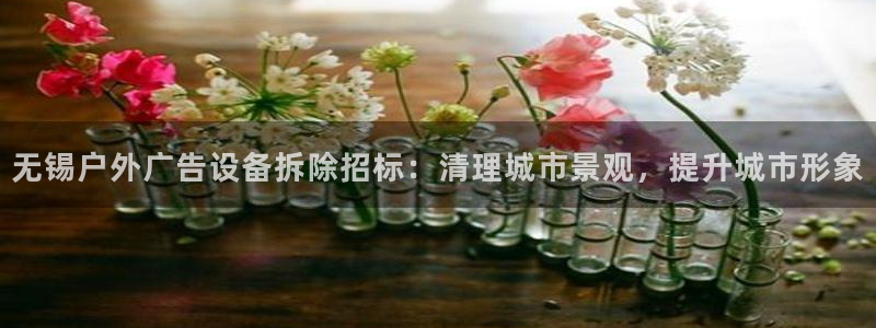 杏宇平台代理多少钱：无锡户外广告设备拆除招标：清理城市景观，提升城市形象