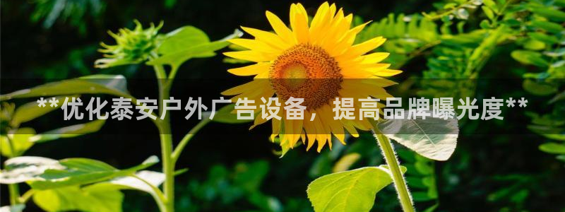 杏宇平台登录步骤：**优化泰安户外广告设备，提高品牌曝光度**