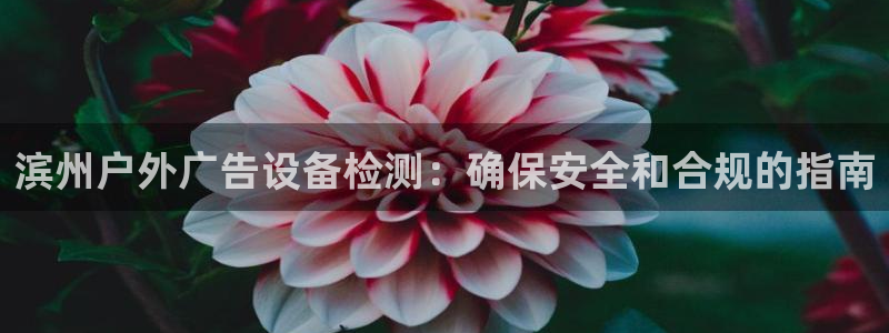 杏宇平台招商怎么样：滨州户外广告设备检测：确保安全和合规的指南